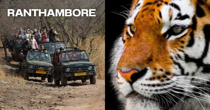 TajMahal One Day Tour